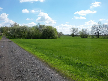 природа, весна, зеленая трава, тропа, голубое небо, облака, nature, spring, green grass, trail, blue sky, clouds