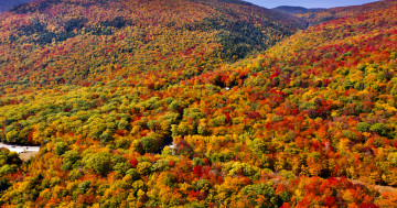Обои на рабочий стол осень, горы, пейзажи, деревья, падение, безмятежной, яркий, солнечный свет, небо, бесплатные, вид, красочный, листва, антенна, живописный, синее небо, лес, цвет, пейзаж, листья, природа, октябрь