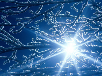 природа, зима, лучи солнца, веточка, иний, красивые заставки, nature, winter, sunlight, twig, iny, beautiful screensavers