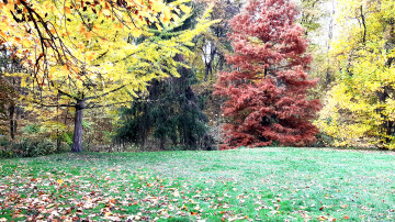 3840х2160 4к обои разноцветные деревья осенью
