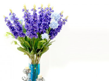 гиацинт, флора, ваза, цветы, белый фон