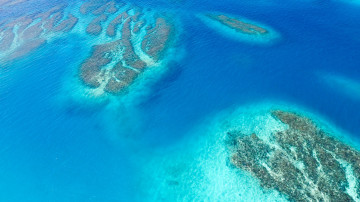 coral reef aerial view, Коралловый риф с высоты птичьего полета