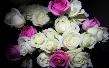 белые, розовые розы, букет, бутоны, красивые цветы, фото, White, pink roses, bouquet, buds, beautiful flowers, photo