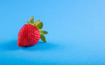 4К обои, минимализм, клубника на голубом фоне, ягода, 4K wallpaper, minimalism, strawberry on a blue background, berries