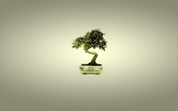минимализм, бонсай, Япония, дерево в горшке, серый фон, хорошие обои, Minimalism, bonsai, japan, a tree in a pot, gray background, nice wallpaper