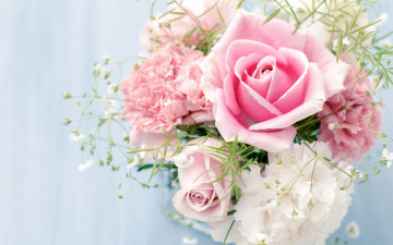 бутоньерка, розовые розы, букет, цветы на голубом фоне
