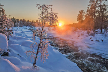 зима, восход солнца, оттепель, ручей, снег, деревья, природа