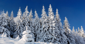 Обои на рабочий стол зима, снег, пейзаж, деревья, ёлки, голубое небо, иней