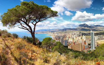 Фото бесплатно город, Испания, холм, дерево, море, небоскребы