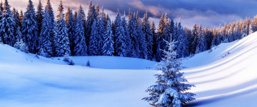 зима, снег, горы, елки, природа, 5К обои