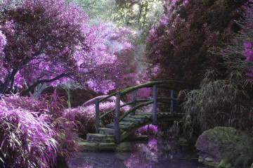 мостик, цветущие деревья, природа