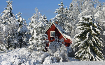 Фото бесплатно домик, снег, деревья, зима, природа, иней