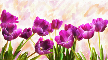 quit hd wallpaper, лиловые тюльпаны, весенние цветы, живопись, картина, художник Альберто Гильен