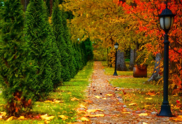 Фото бесплатно осень, пейзаж, фонарь, природа, парк