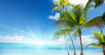 море, пальмы, тропики, песок, лучи солнца, горизонт, пляж, отдых