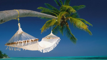 hammock on a palm tree, ocean, horizon, blue sky, tropics, rest, exotic, гамак на пальме, океан, горизонт, голубое небо, тропики, отдых, экзотика