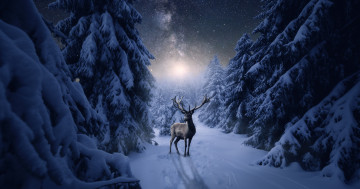 Обои на рабочий стол зима, олень, ели, ночь, лунный свет, искусство, пейзаж, деревья, сияние, снег