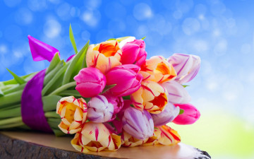 букет, тюльпаны, весенние цветы, красивые обои на рабочий стол, Bouquet, tulips, spring flowers, beautiful wallpapers