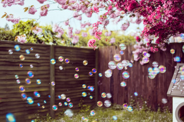 Фото бесплатно пузыри, розовые цветы, мыльные пузыри, весна