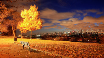 скамейка, дерево, осень, городской пейзаж, ночь, 3840х2160 4к обои