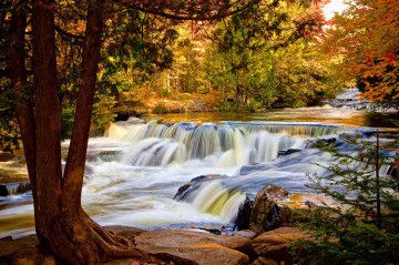 Фото бесплатно река, желтая листва, лес, водопад