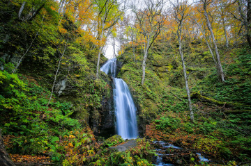 Фото бесплатно зеленая листва, водопад, осень
