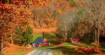 Обои на рабочий стол Вермонт, осень, Брук-Фарм, пейзаж, Осень, дорога, деревья, дома