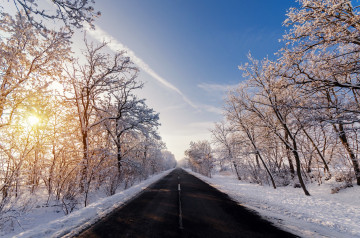Фото бесплатно утро, зима, дорога, снег, лучи солнца, деревья, мороз, природа
