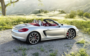 Фото бесплатно Porsche, серебро, вид сбоку, кабриолет, природа