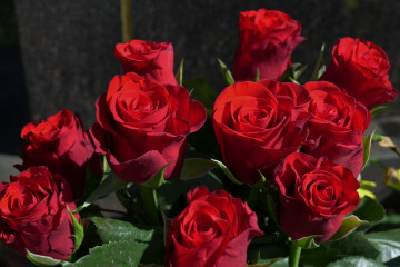 Фото бесплатно красный букет, букет, флора, красные розы, розы, цветы