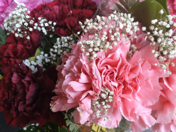 букет цветов, розовые гвоздики