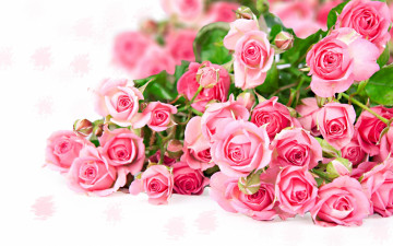 розовые розы, букет, цветы, яркие красивые обои, Pink roses, bouquet, flowers, bright beautiful wallpaper