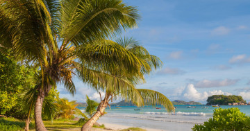 Обои на рабочий стол Пляж Анс-Вольберт, море, Праслин, пальмы, пейзаж, тропики, Сейшельские острова