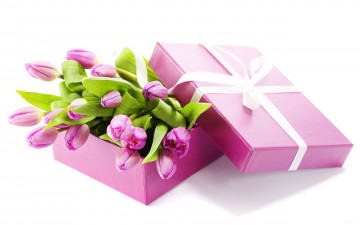букет в коробке, лиловые тюльпаны, лиловая коробка, цветы, обои, Bouquet in a box, purple tulips, purple box, flowers, wallpaper