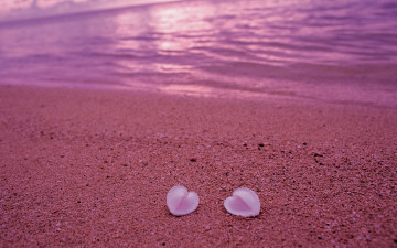sea, shells, hearts, sand, coast, sunset, море, ракушки, сердца, песок, берег, закат, 2560х1600