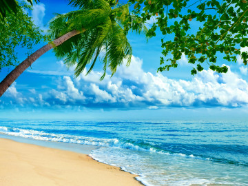 море, волны, лето, природа, берег, песок, пальма, ветки, небо, облака, красивые обои, Sea, waves, summer, nature, shore, sand, palm, branches, sky, clouds, beautiful wallpaper