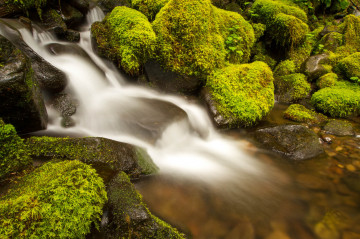 Фото бесплатно тропический лес, поток, камни, мох, водопад, природа