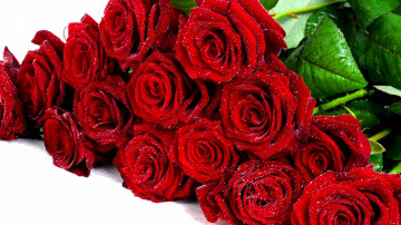 шикарный букет бордовых роз, цветы, роза, обои невероятно красивые, Chic bouquet of burgundy roses, flowers, rose, wallpaper incredibly beautiful