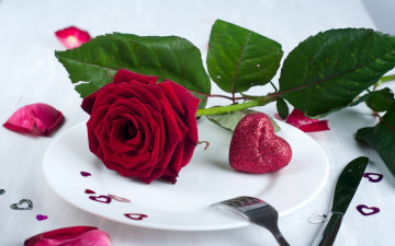 Фото бесплатно обои красная роза на тарелке, красное сердечко, романтика, подарок, цветок