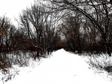 зима, снег, мороз, лес, дорога, деревья, природа