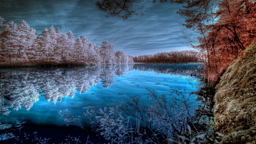 зима, природа, лес деревья, озеро, пруд, winter, nature, forest trees, lake, pond