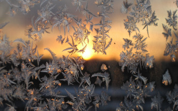 макро, снежинки на стекле, закат, шедевр, красивые обои, Macro, snowflakes on the glass, sunset, masterpiece, beautiful wallpaper
