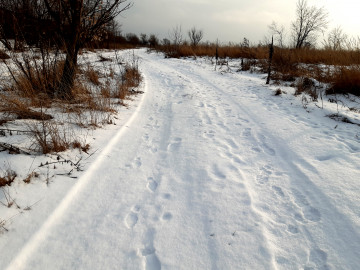 дорога, следы на снегу, зима, природа, снег, мороз