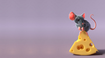 маленькая серая мышка на сыре на сером фоне минимализм 4к 3840х2160
