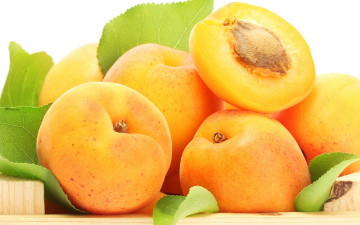 абрикосы, фрукт, плод, листья, косточка, еда,  apricots, fruit, leaves, bone, food