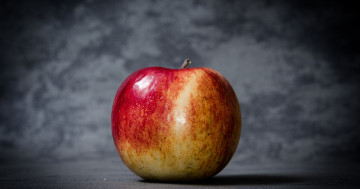 минимализм, яблоко, серый фон, фрукт, натюрморт