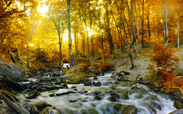 2560х1600 водопад в лесу золотая осень