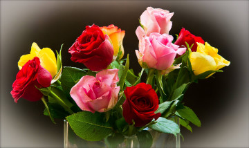Фото бесплатно роза, розы, цветные розы, цветы, букет, бутоны, праздник, серый фон