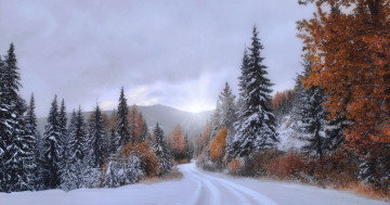 Обои на рабочий стол зима, снег, пейзаж, природа, пасмурно, облачно, деревья, дорога