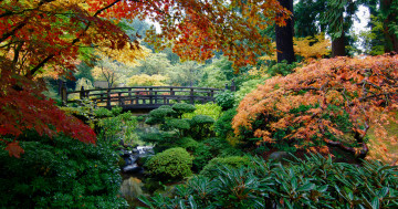 Обои на рабочий стол деревья, японский сад, мост, пейзаж, осень